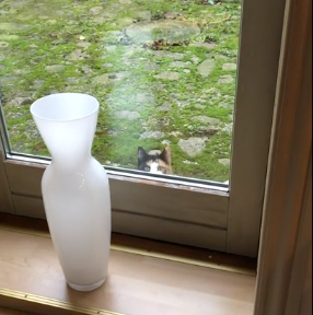 you_re_being_watched.png