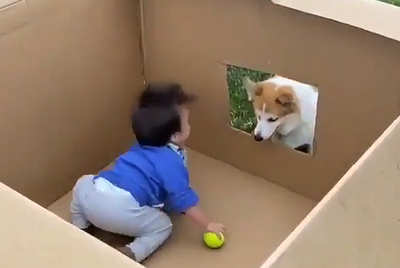 fetch_and_baby.png