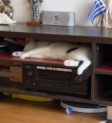 keep_sleeping.png