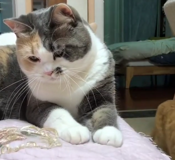 get_out_of_my_face.png