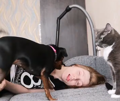 cat_and_dog_reaction.png