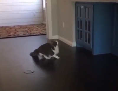 real_footage.png