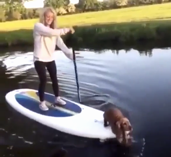 one_dog_power.png