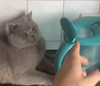 dont_Close_the_lid.png