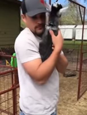 Baby_Goats_Line_Up.png