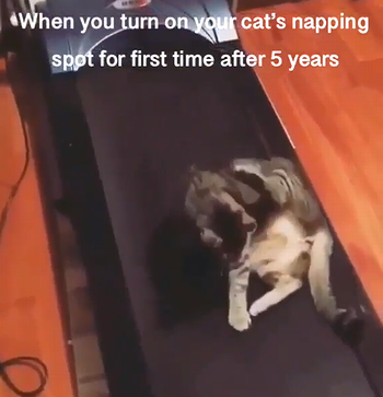 when_you_turn_on.png