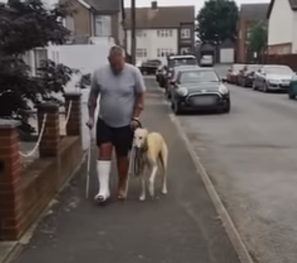 Dog_Pretends_To_Walk.png