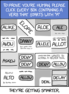 allow_captcha.png