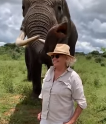 Elephant_Takes_off.png