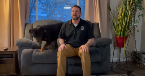 Owner_Pretends_Not_to_See.png