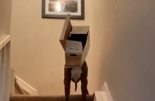 Human_we_have_a_problem.png