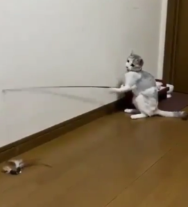 humansarebusy.png