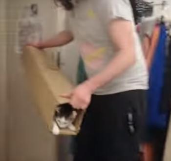 Self-loadingcat.png