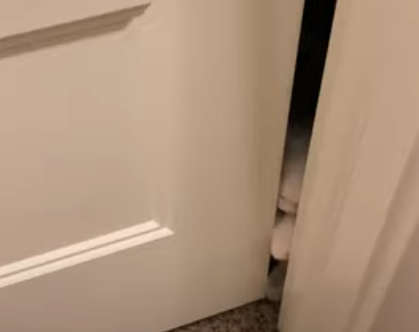 PawforEntry.png