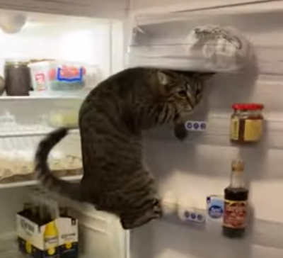 ClimbingFridge.png