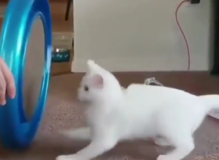 RoundandRound.png
