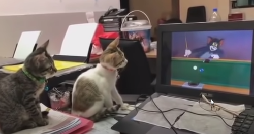 TomAndJerry.png