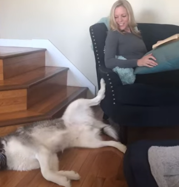 leg_constantly_touched.png