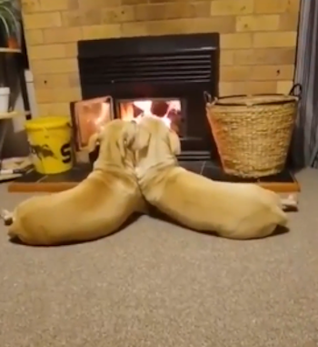 Iwanttobeapartofthis.png