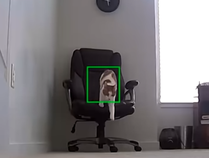 Securitycameracapturescat.png