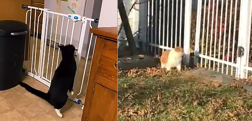 entrance_denide.png