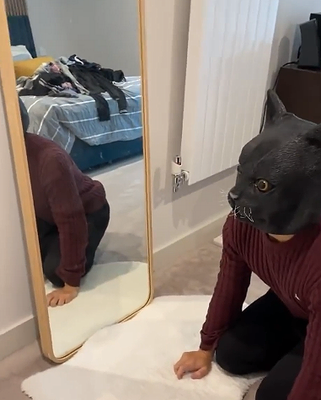 Cutecatsareterrified.png