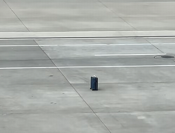 RunawayLuggage.png