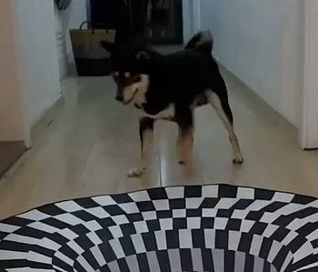dazzlingmat.png