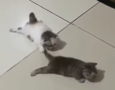 slipperyfloor.png