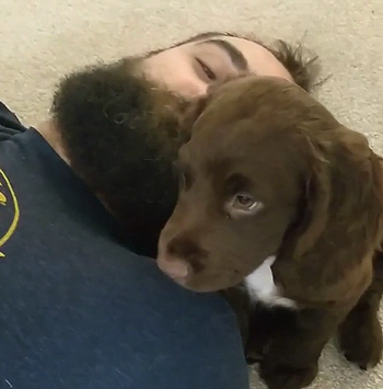 perfectnapspot.png