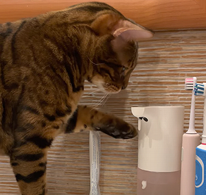 AutomatedSoapDispenser.png