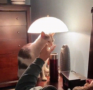 touchlamp.png
