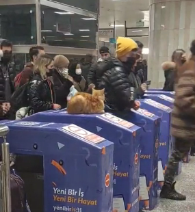 Istanbulsubway.png