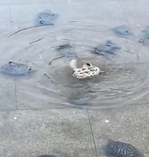 lookatthen.png