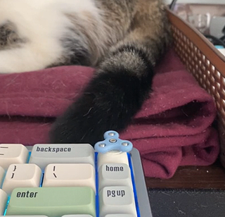 tailtaps.png
