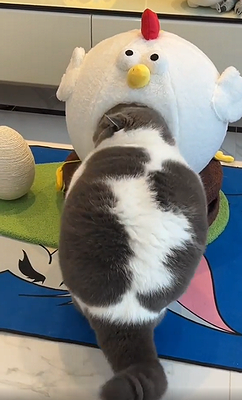IfitsIsits.png