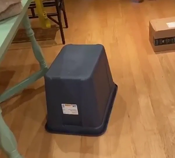 catbox.png