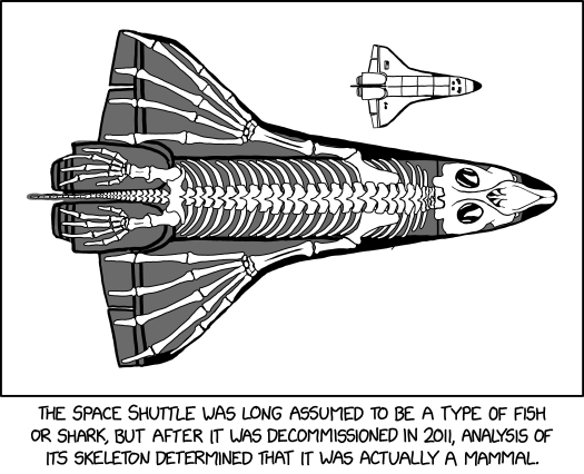 shuttle_skeleton.png