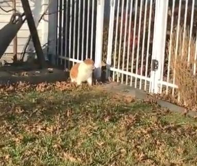 EntranceDenied.png