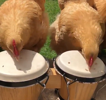 Firstdayofbandpractice.png