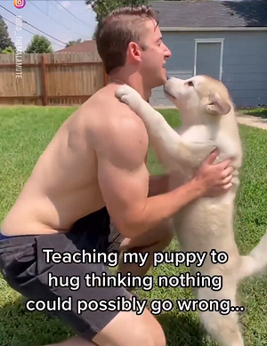 Letmehugyou.png
