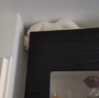 Whyjustjump.png