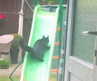 slidechallenge.png