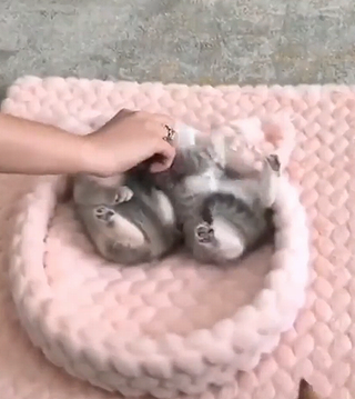 Bedtime.png