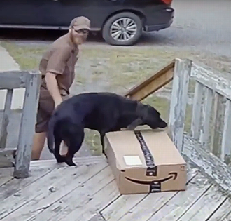 Good_bad_dog.png