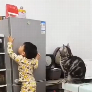 Goodjobkitten.png