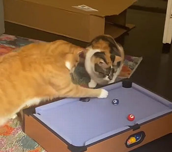 Fancyagameofpool.png