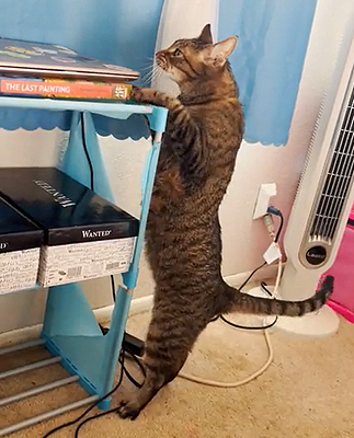 he_does_this_every_time.png