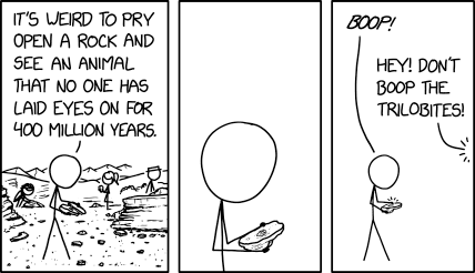 fossil.png