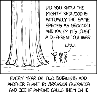 brassica.png
